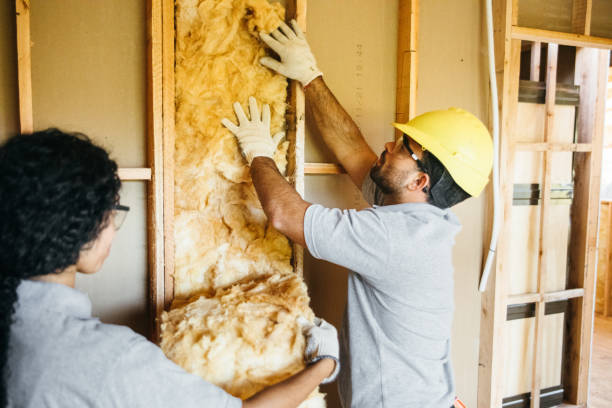 Reliable Hyattsville, MD Insulation Solutions